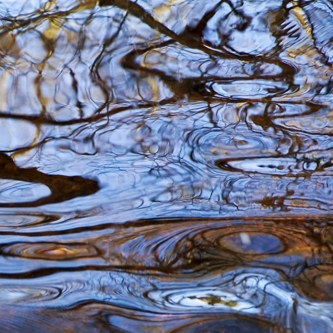 Melusina Rhode Island Bristol Blithewood Ripples And Reflections On Water Surface. Poster Print (34 x 22) | Дом и сад