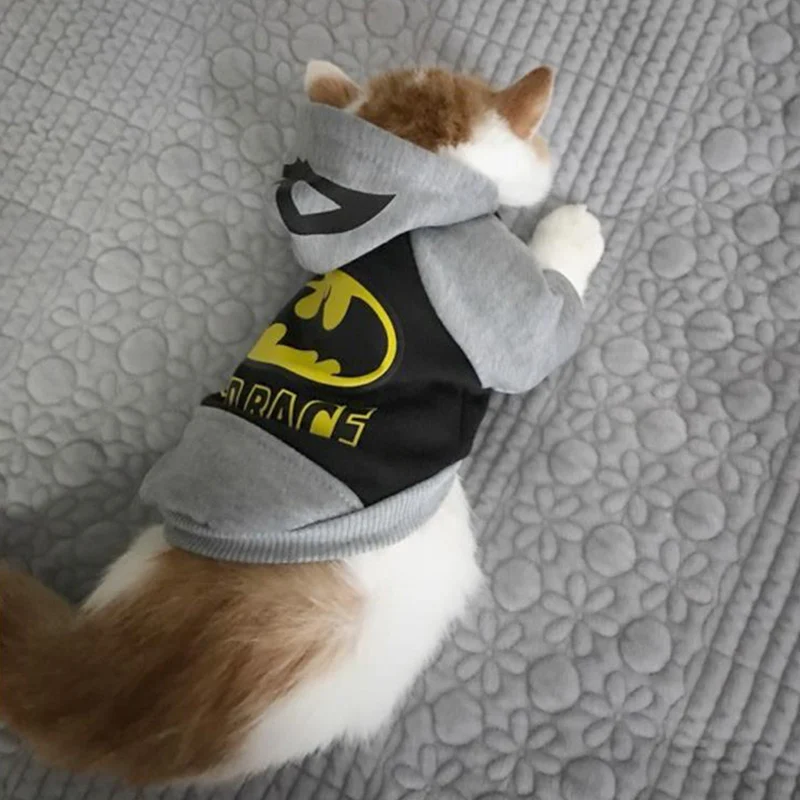Cat Одежда cat pet для кошек с принтом в виде собак Зима по модели Супермена XS XL| |