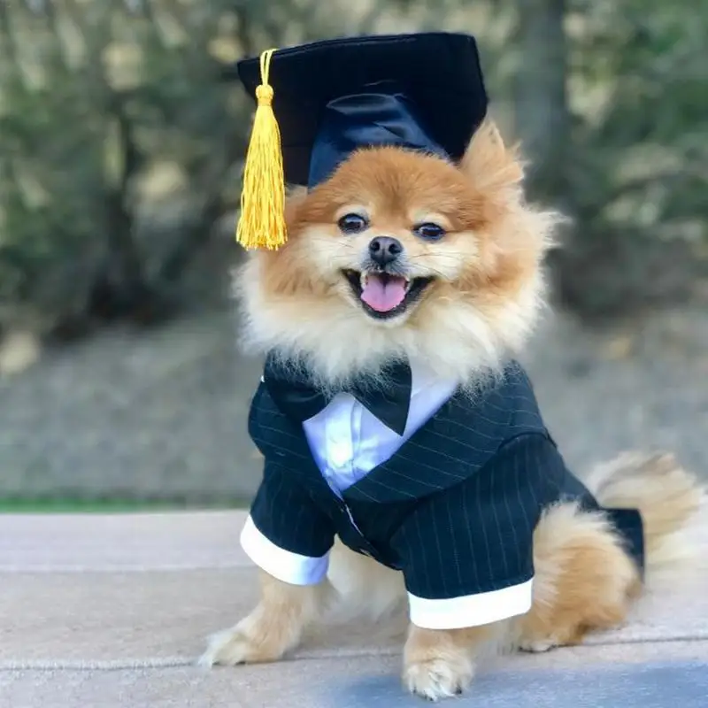 

Pet Dog Cap Puppy Doctor Hat Customized Dog Graduation Cap Student Tassel Academic Cap University Graduation Pet Supplies DH