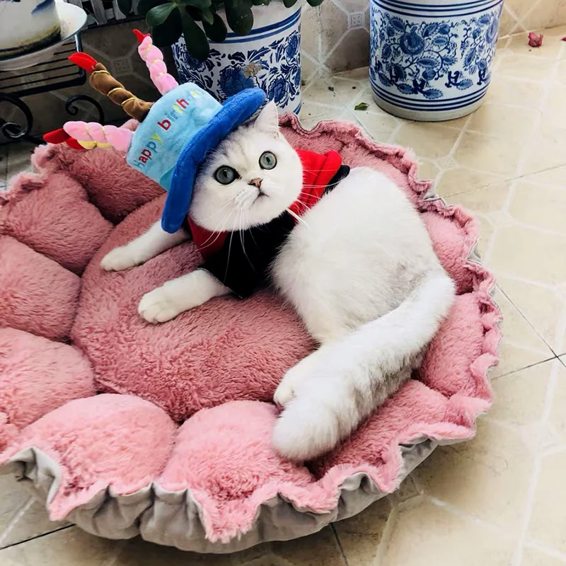 Happy Birthday Pet Products Accessories Cat Dog Hat Cute Fashion New wholesale 10 pieces | Дом и сад