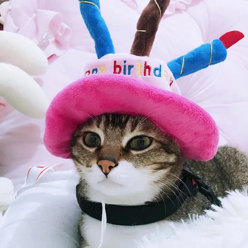 Happy Birthday Pet Products Accessories Cat Dog Hat Cute Fashion New wholesale 10 pieces | Дом и сад
