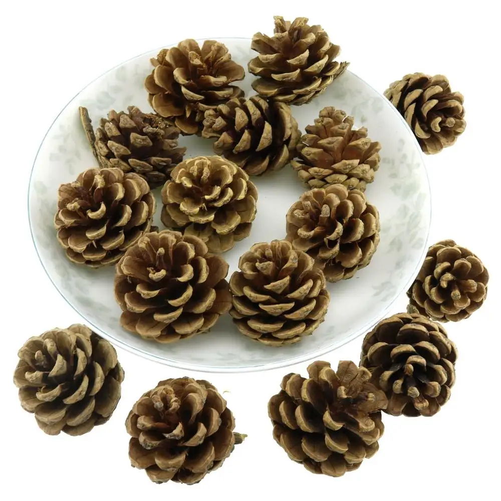 

Gresorth 16 PCS Natural Pine Cones Autumn Fall Home Decor Vase Filler Tree Crafts Decoration