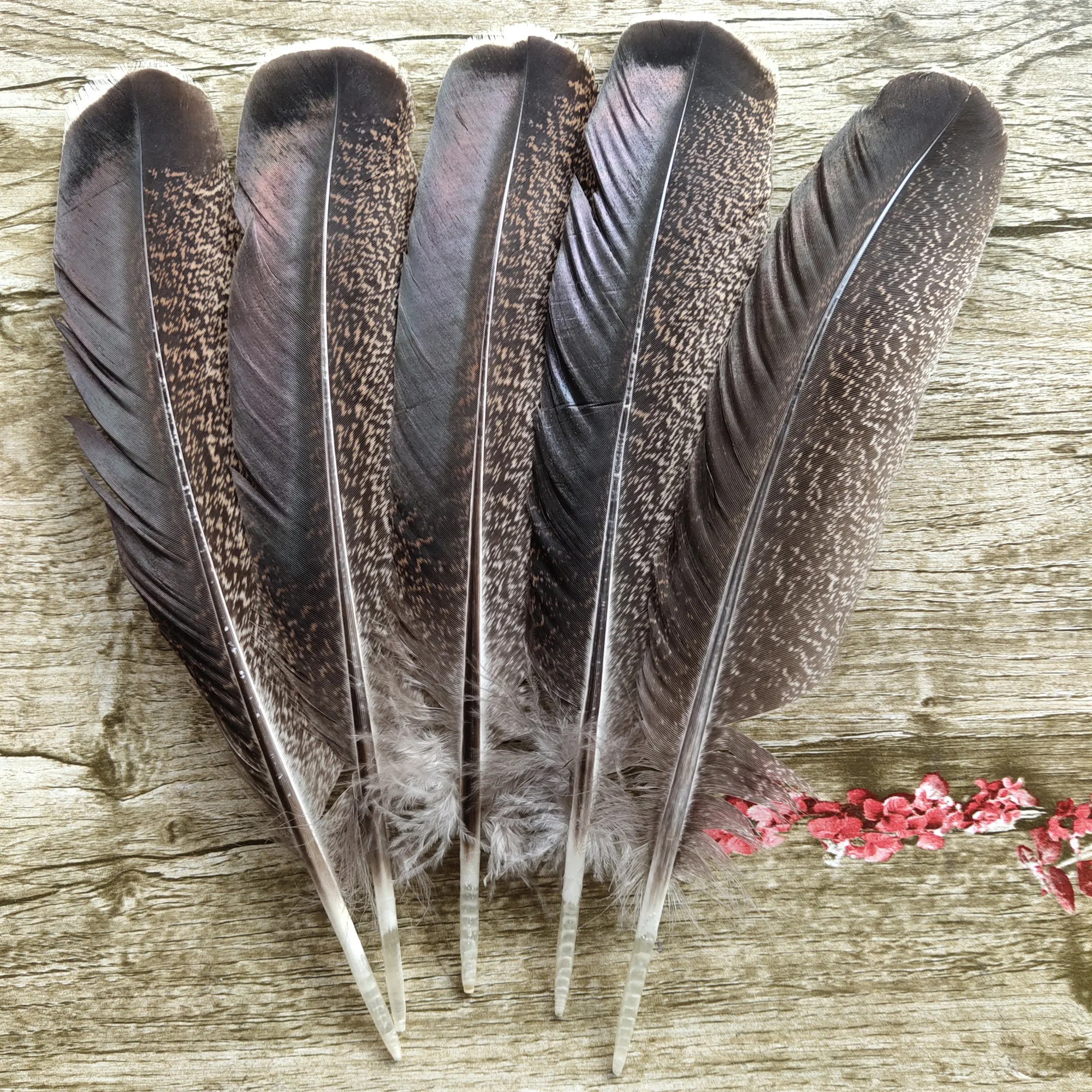 10 шт. натуральные перья индейки 9 12 дюймов/22 30 см|feather craft|turkey tail featherstail feathers |