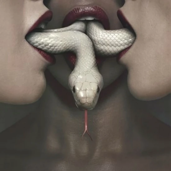 American Horror Story Coven ламинированный плакат печать (22x34)|Таблички и знаки| |