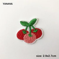 cherry fruit parches embroidery iron on patches for clothing diy