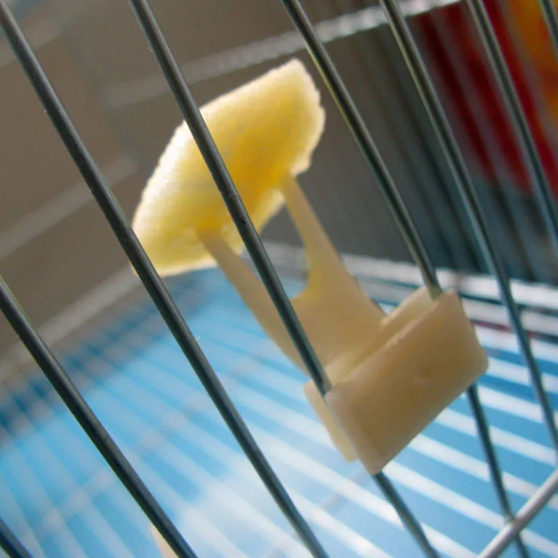 Pet Supplies Bird Cage Accessories Plastic Feeding On Food Holder Feeder Portable Parrots Fruit Fork 1Pcs | Дом и сад