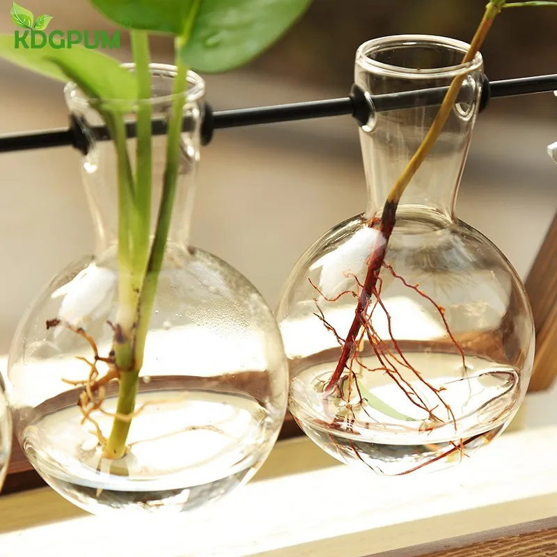 Terrarium Creative Hydroponic Plant Transparent Vase Wooden Frame Decoration Glass Tabletop Bonsai Decor Flower | Дом и сад