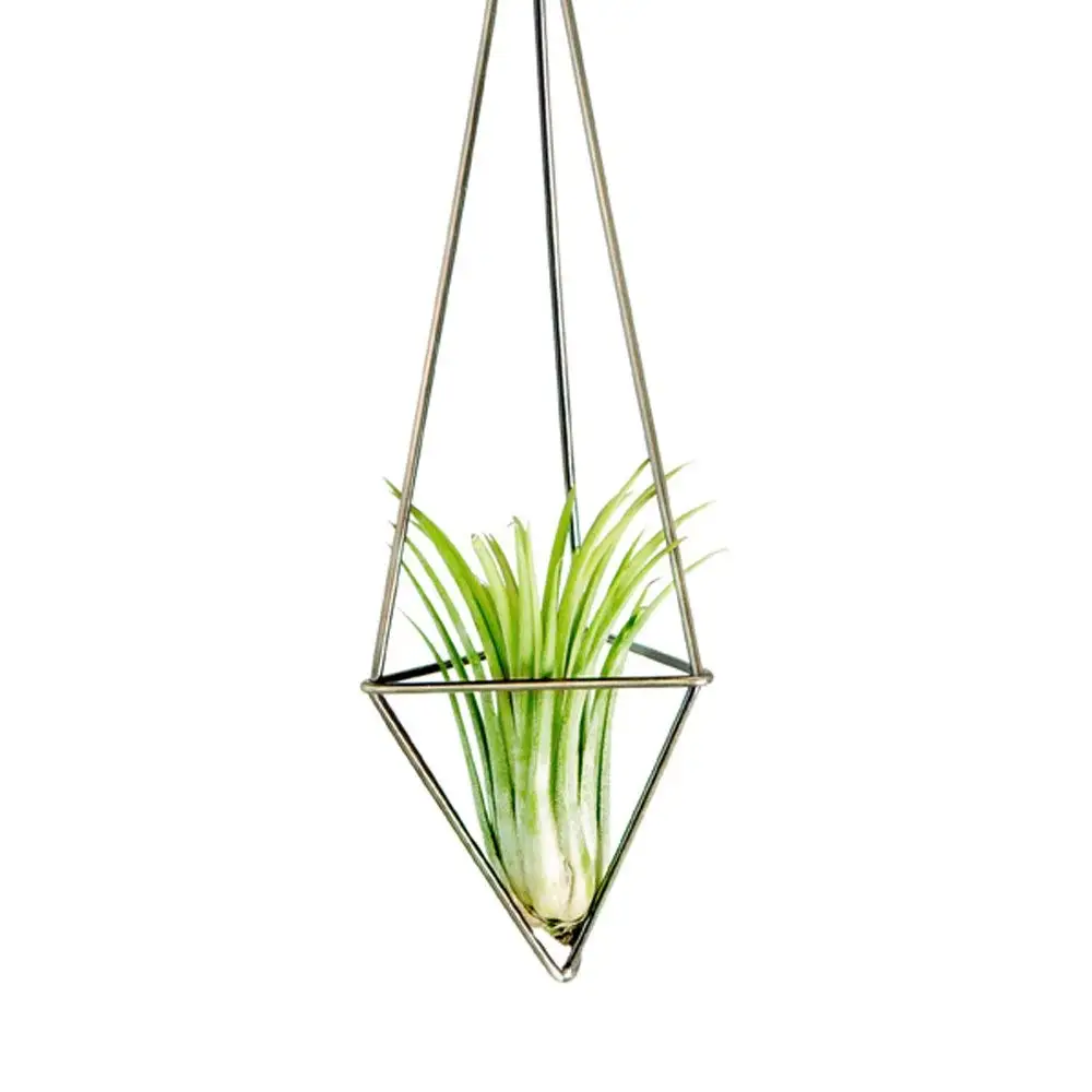 1 упаковка Бронзовый висит Air завод держатель для Tillandsia Дисплей геометрический