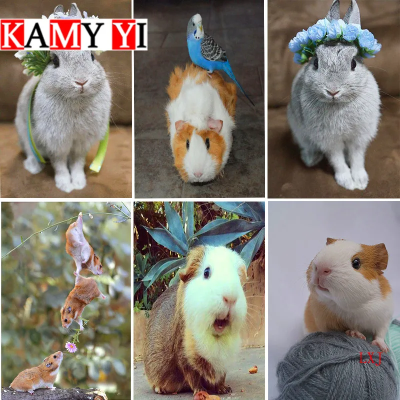 5D DIY Алмазная вышивка милый хомяк и Кролик картина крестиком мозаика украшение