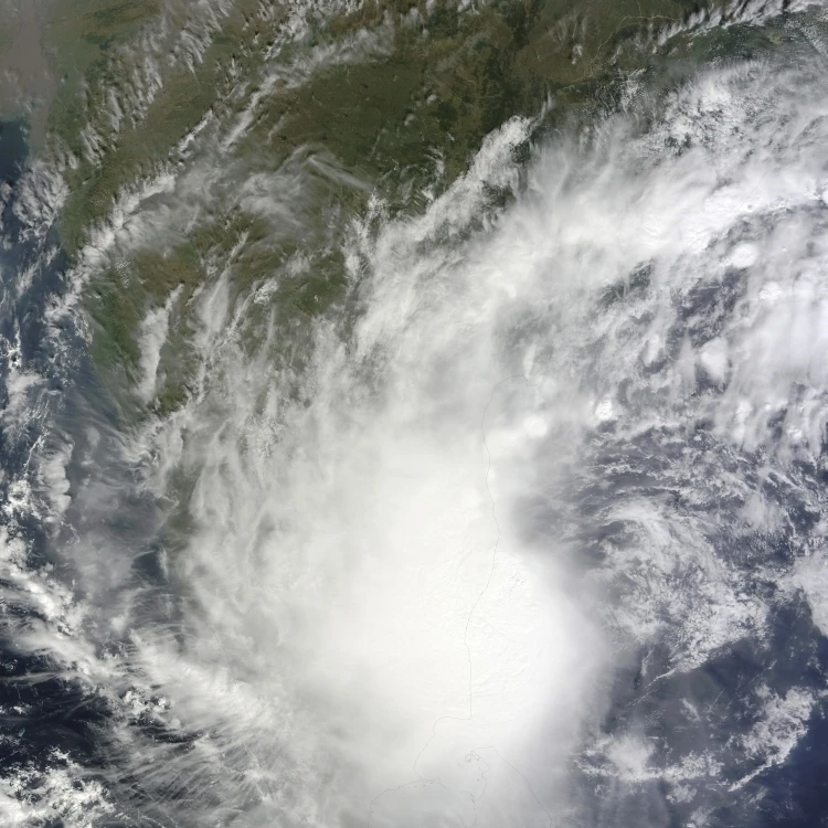 Печать плакатов Cyclone Jal (12x16)|Таблички и знаки| |