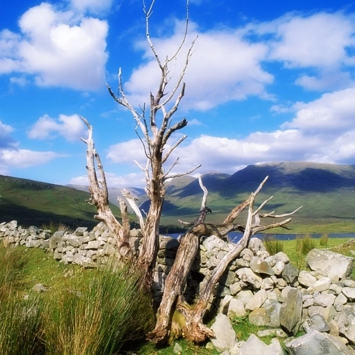 Killary Harbour Connemara Co Голуэй Ирландия только Fjord плакат печать (36x24)|Таблички и знаки| |