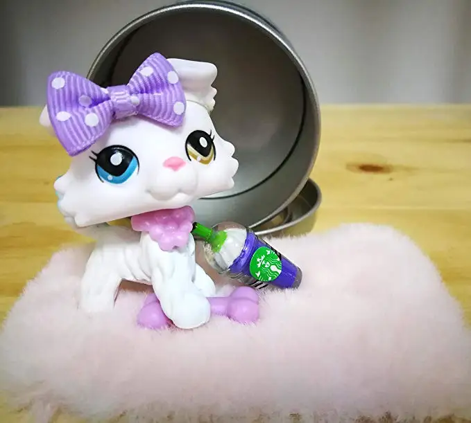 Новый колли Белый 2 разных глаза с аксессуарами много лук кости воротник напиток