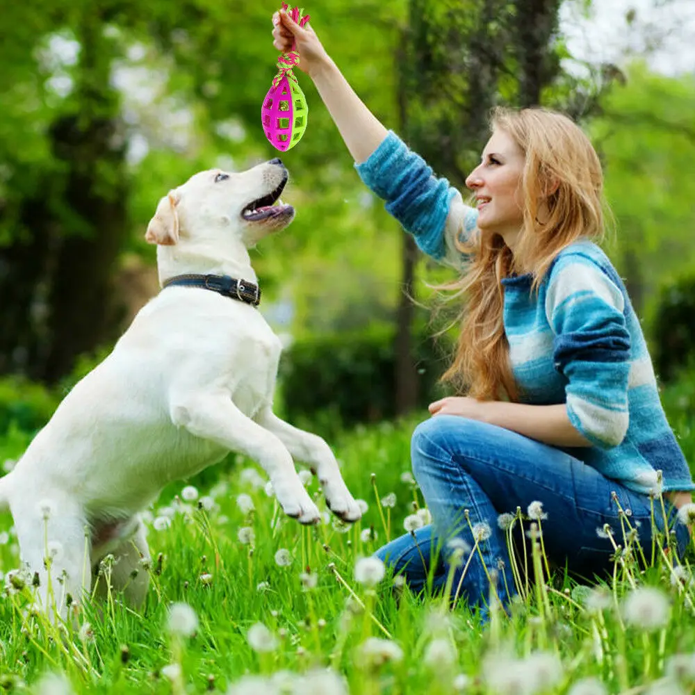 1 шт. регби собака жевательная игрушка маленький колокольчик агрегатный