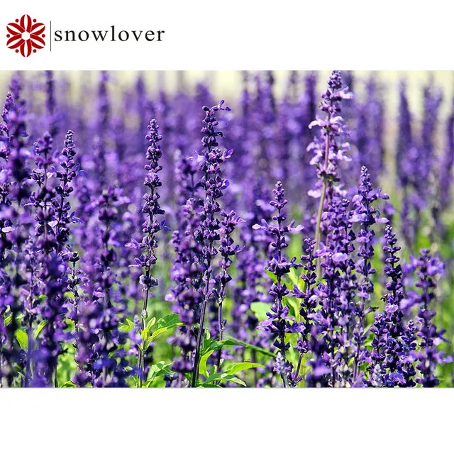 

Snowlover full square diamond painting 5D DIY lavender diamond painting cross stitch diamond mosaic home decoration painting