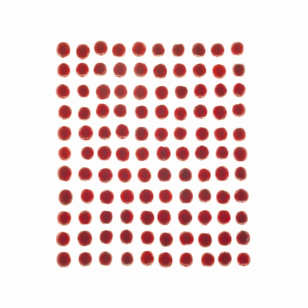 Красные ягоды в сетке плакат печать (15x15)|Таблички и знаки| |