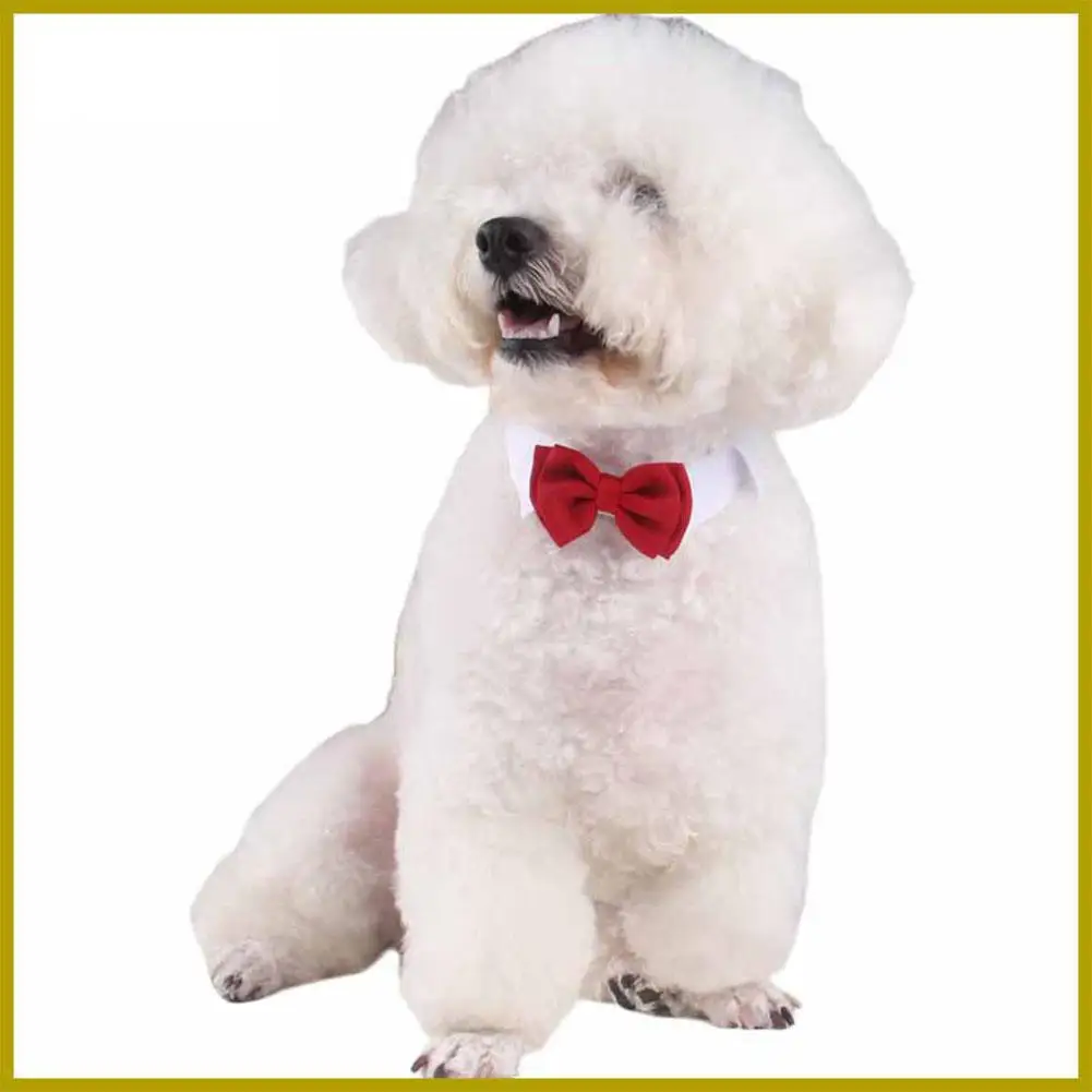 1 шт. модный регулируемый галстук-бабочка для домашних животных милый бант собак