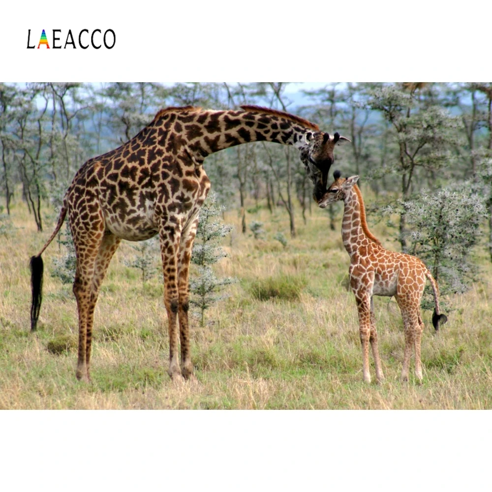 Виниловый Фотофон Laeacco с жирафом натуральным деревом облачным фоном