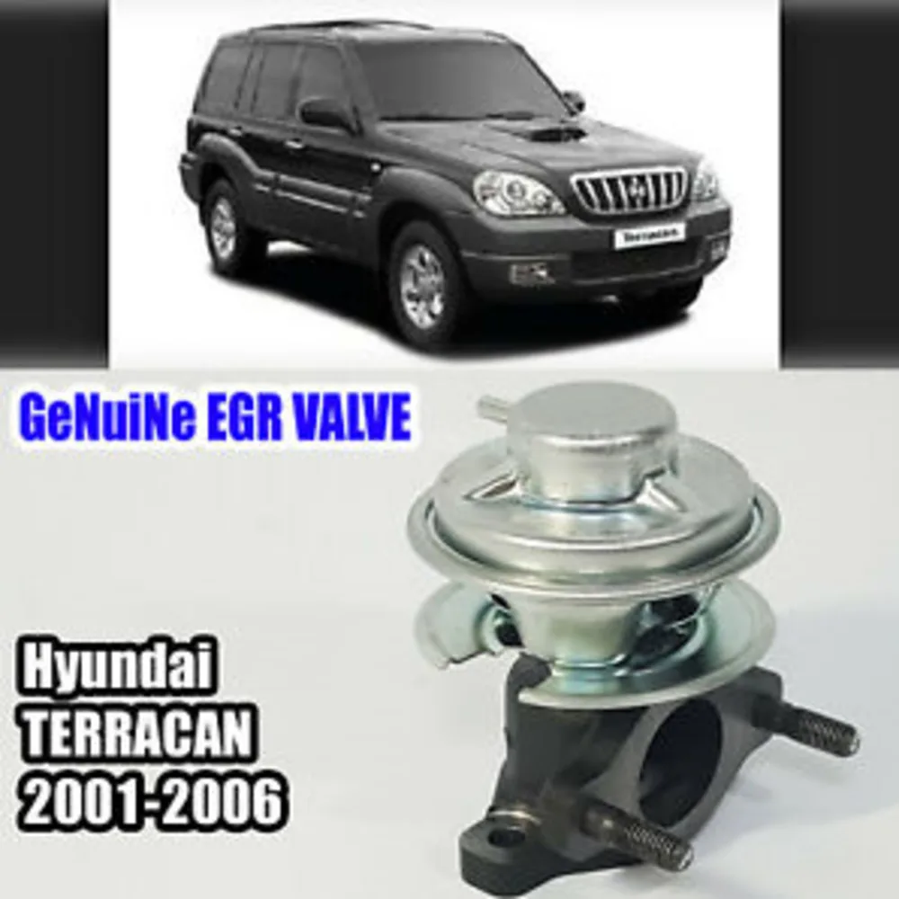 284104X410 Egr клапан в сборе с прокладкой 2ea = 1 комплект для Hyundai Terracan 01 06