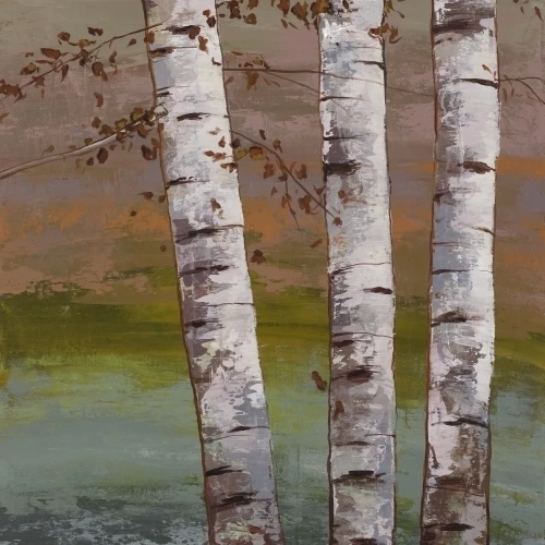 Береза на Наружный свет плакат печать Joy (12x24)|Таблички и знаки| |