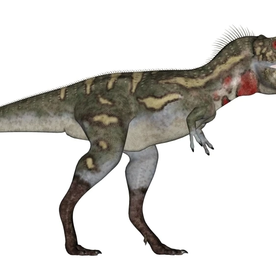 Нанотиран плакат с динозавром Print (36x20)|Таблички и знаки| |