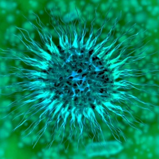 Микроскопическая печать плакатов dendrimers (34x22) | Дом и сад
