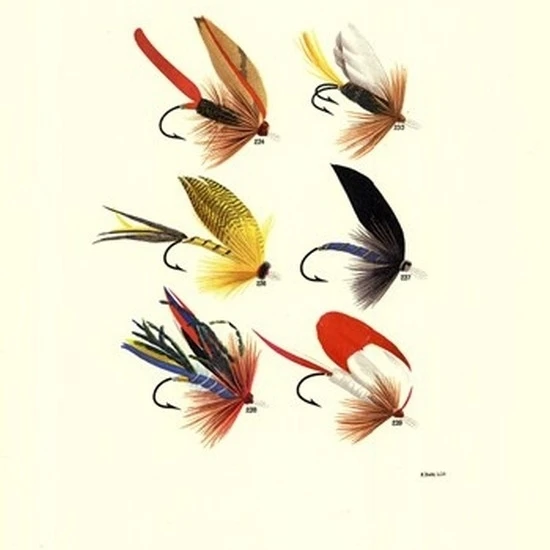 Bass Flies I Poster Print by Vision studio (10x13)|Таблички и знаки| |