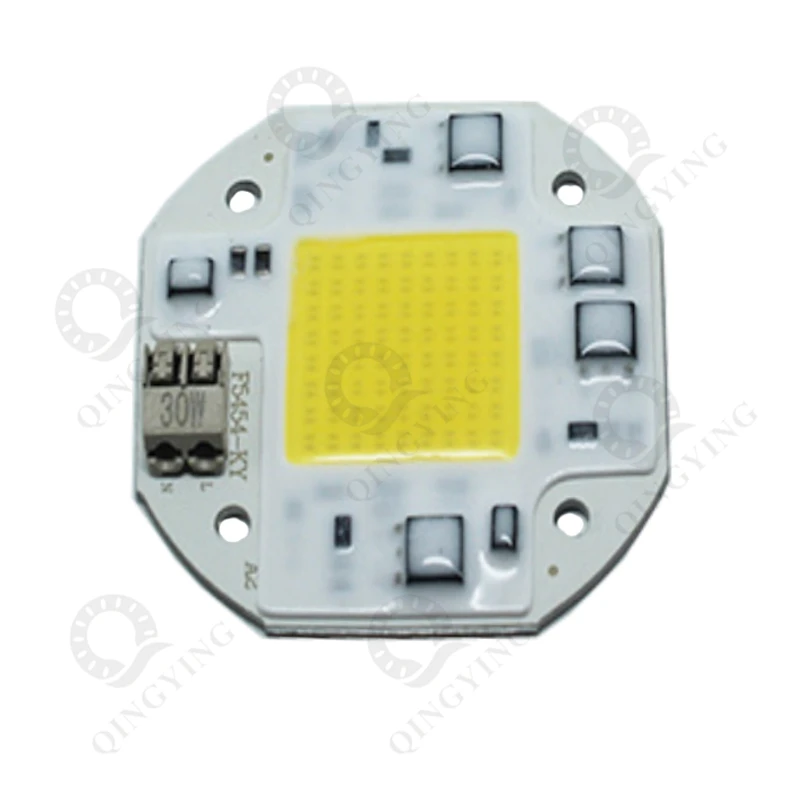 2 шт. COB LED Light 20 Вт 30 50 AC100V 240V интегрированный Смарт IC 110 В 220 в драйвер белый теплый