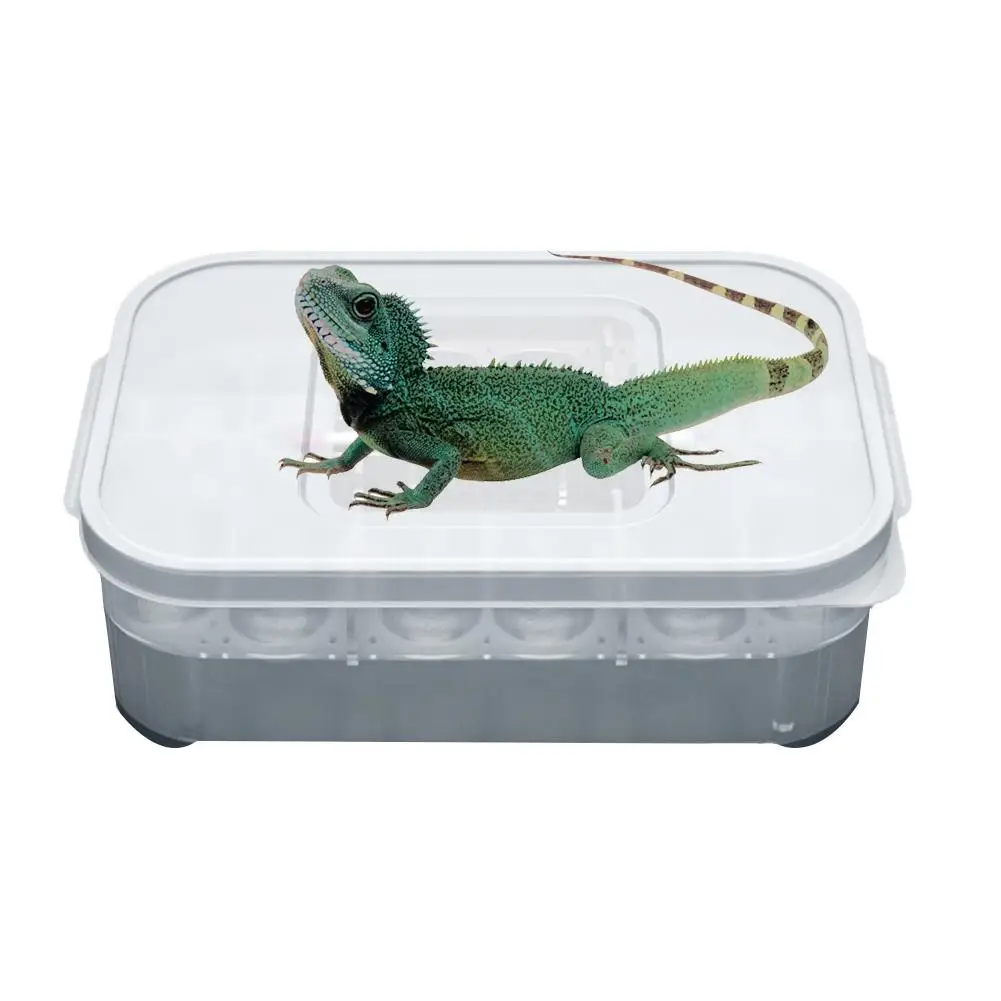 Для разведения рептилий коробка профессиональная рептилия инкубационная
