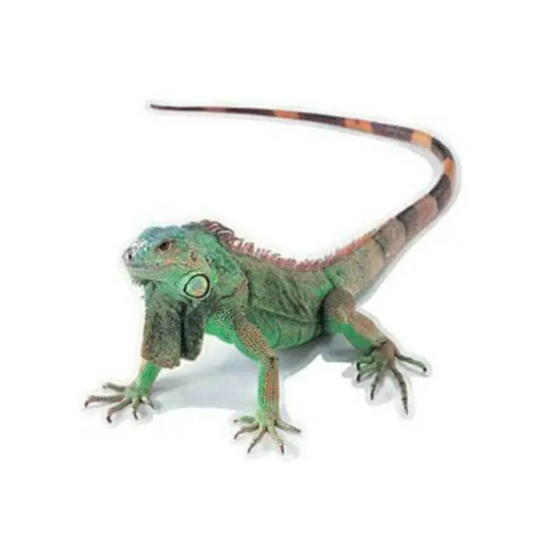 3D скорпион автомобильные аксессуары наклейка на автомобиль паук персональный