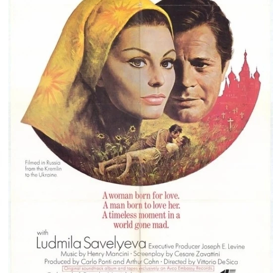 Постер с изображением подсолнуха (27x40) | Дом и сад