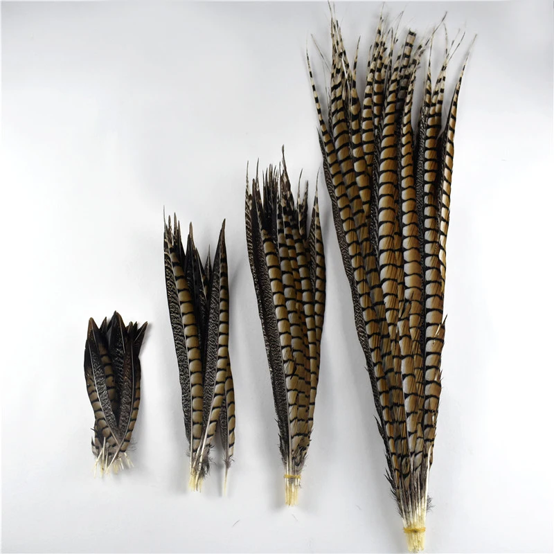

10Pcs/Lot 10-120CM 4-48 inch Natural Lady Amherst Pheasant Feathers For Crafts Decor Wedding Decorations Pheasant Feather plumes
