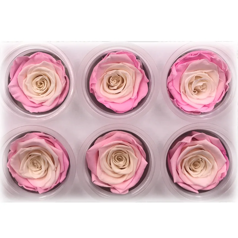 1 коробка Высокое качество Красочные розы цветок бессмертный Rose5 6CM диаметр