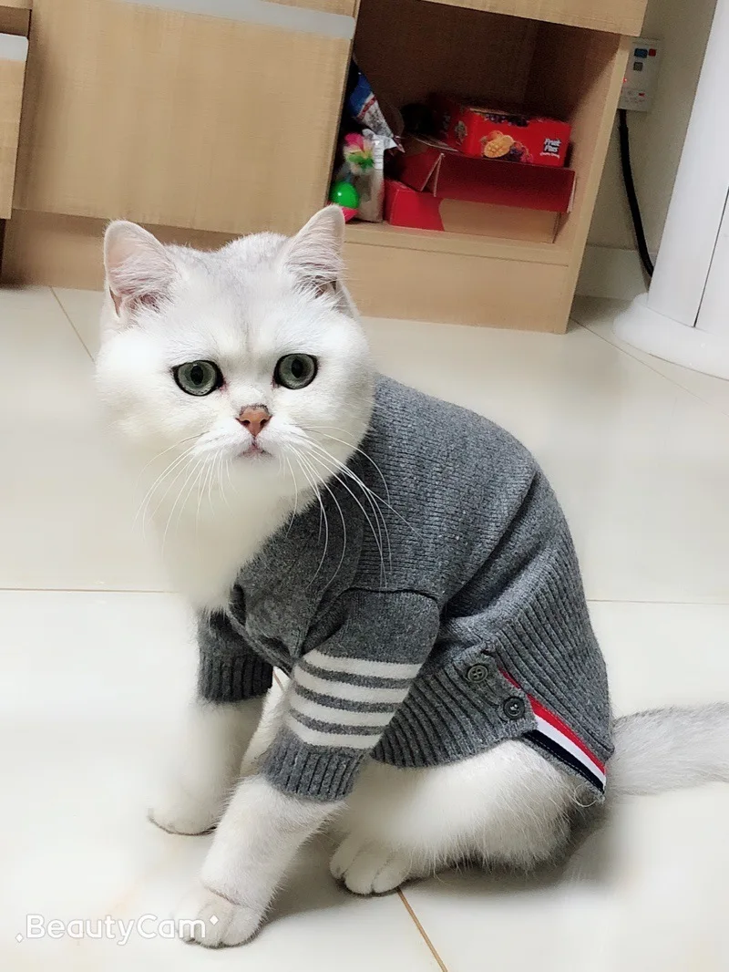 Свитер с котом куртка для отдыха модный дизайн вязаный кардиган классический
