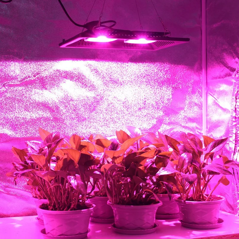 Led Grow Light 1000W 220 V 240 Fitolamp Ip65 Водонепроницаемый полный спектр для посев цветов