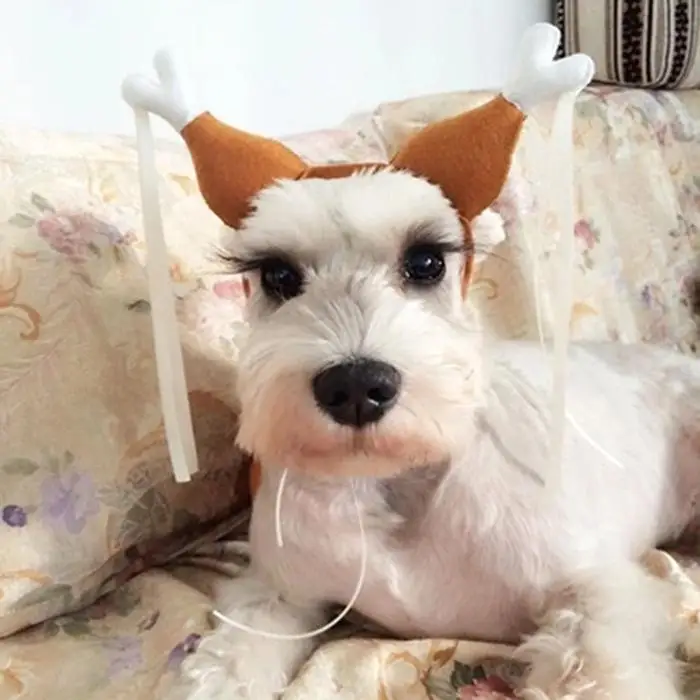 Pet Cat головной убор для собак куриные ножки форма Свадебный ободок вечерние