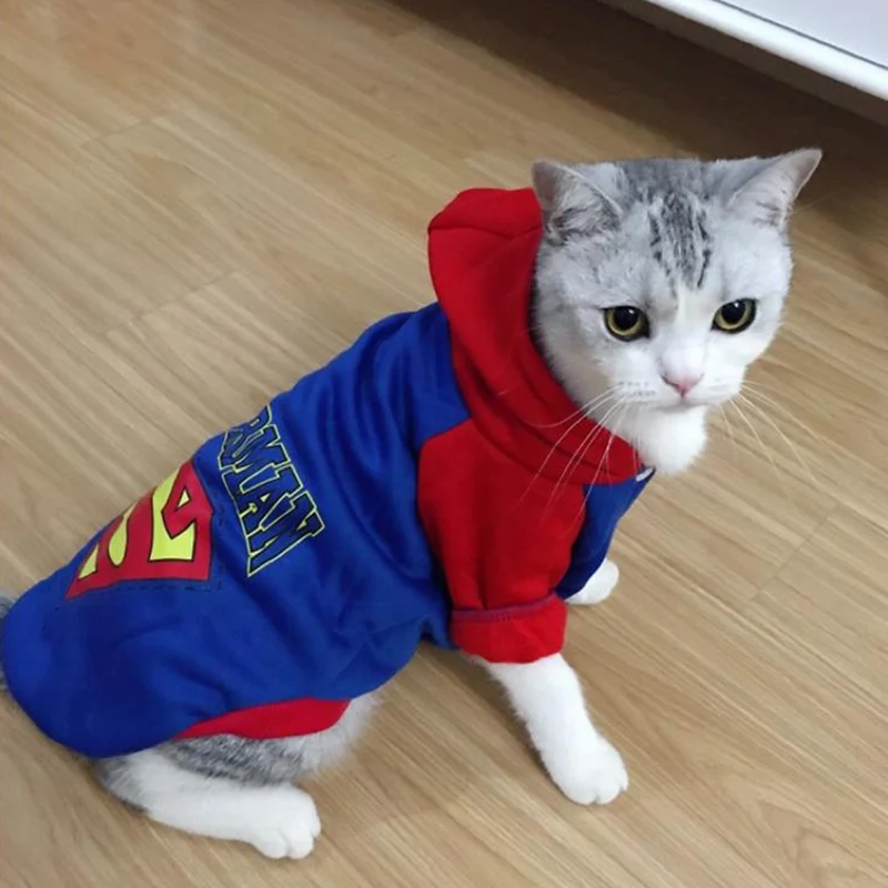 Cat Одежда cat pet для кошек с принтом в виде собак Зима по модели Супермена XS XL| |