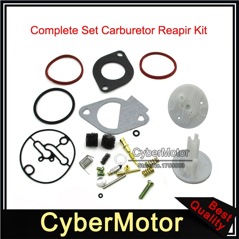 Carburetor Rebuild Repair Kit For 796184 69878 790032 11HP 12HP 13HP 14HP 15HP 16HP 17HP 18HP 19HP Engine &amp Stratton Craftsman |