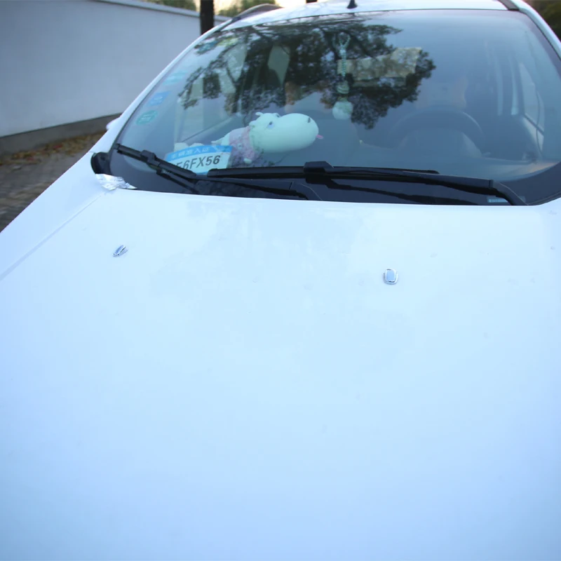 Жеребенок сжигание ABS Хромовая автомобильная пленка распыления воды Форсунка