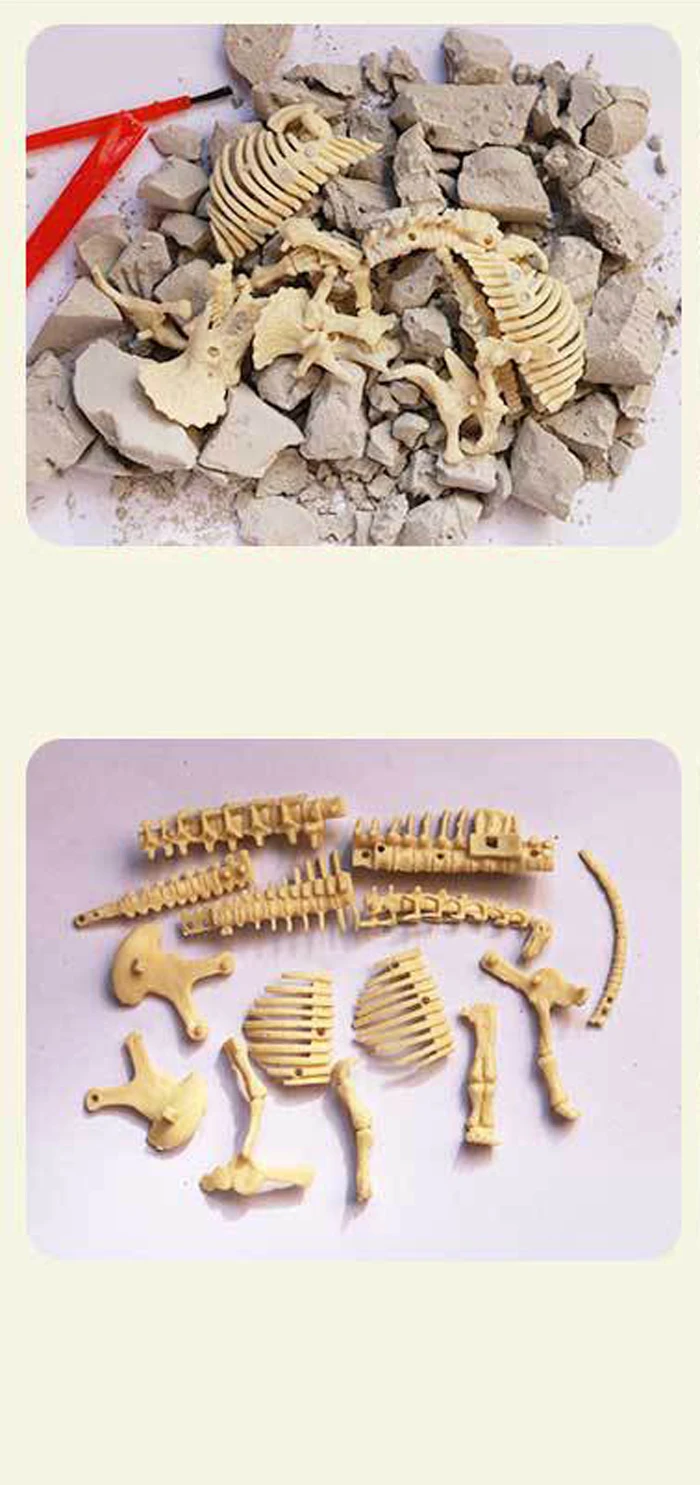 Набор для изучения скелета в виде костей динозавра модель детей образовательные
