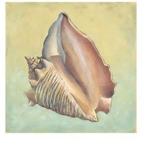 Sand And Sea III постер печать от Vision studio (13x19)|Таблички и знаки| |