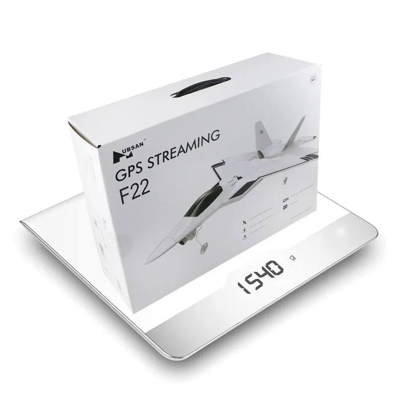 HUBSAN F22 310 мм размах крыльев EPO FPV RC Aircraft 720P камера и HT015B передатчик Дрон с GPS