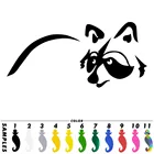 Маленький Енот автомобиля окно грузовика бампер лиса авто мотоцикл наклейка на ноутбук