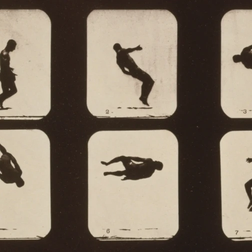 Muybridge Locomotion twissting Somersault 1881 плакат печать по науке источник (36x24)|Таблички и знаки| |