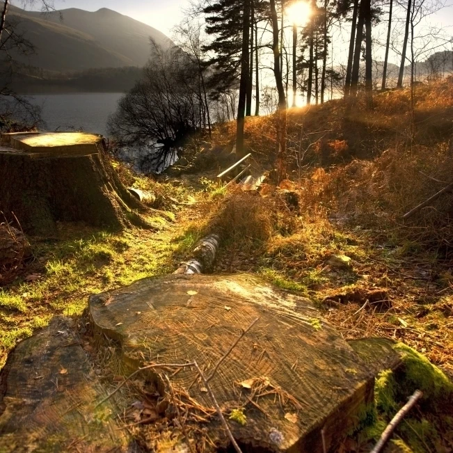 Камбрия Англия озеро живописный на Плакат С восходом солнца печати (11x17)|Таблички