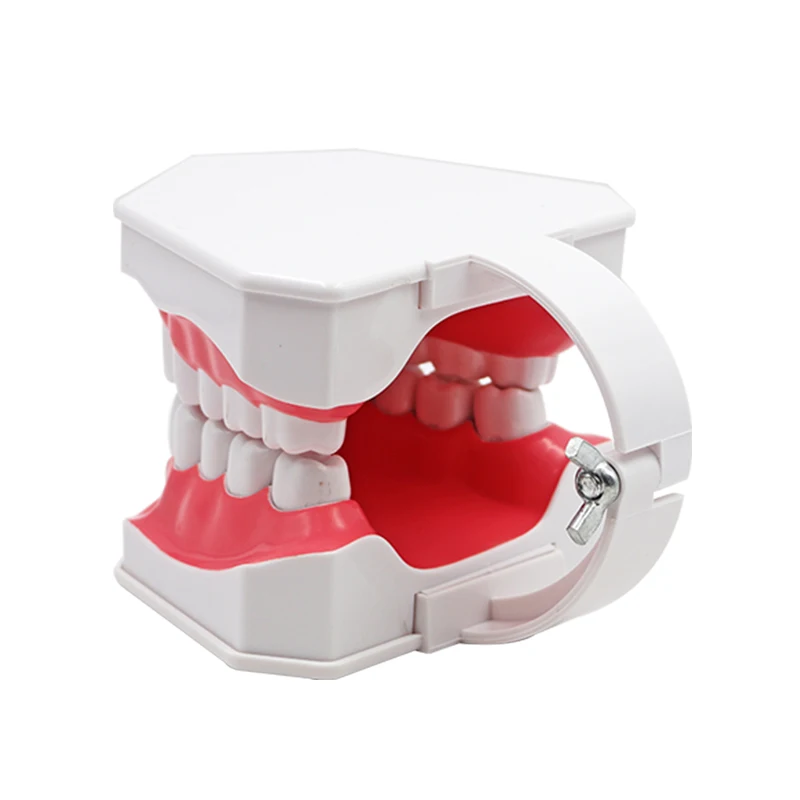 Зубная щетка со съемной резиновой зубной щеткой 1 шт.|Стоматологическая учебная