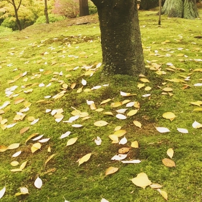 Осенние листья плакат печать (12x19)|Таблички и знаки| |