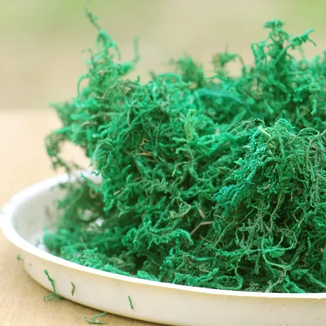 Green Dry Moss 10 g