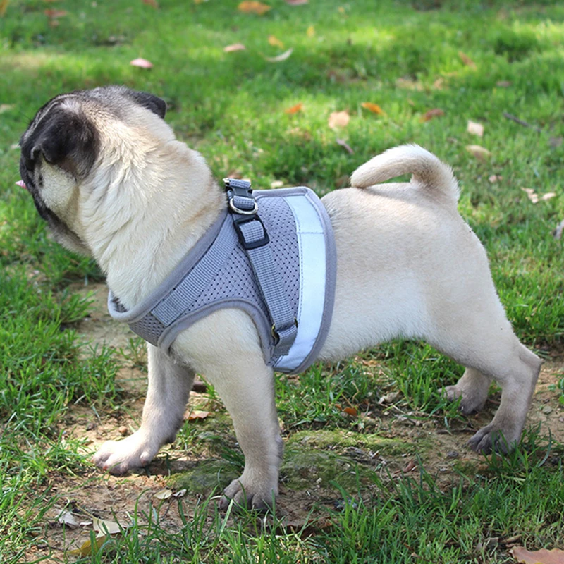 Sale 1PC Dog Harnes Small Medium Dogs Popular Lead Leash Mesh Pug Nylon Vest Pets Supplies | Collars Harnesses &amp Leads