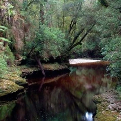 Oparara River Basin Новая Зеландия постер печать Уильямом саттоном (26x19) | Дом и сад