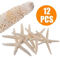 12pcs white natural finger starfish craft decoration natural sea star diy for beach cottage wedding decor 7 11cm